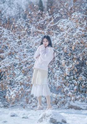 花好月又圆电视剧免费观看